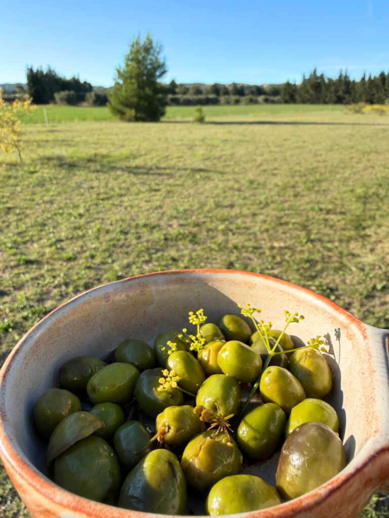 joyeuse provence seminaires mosaique olives cassees aopvallee des baux de provence